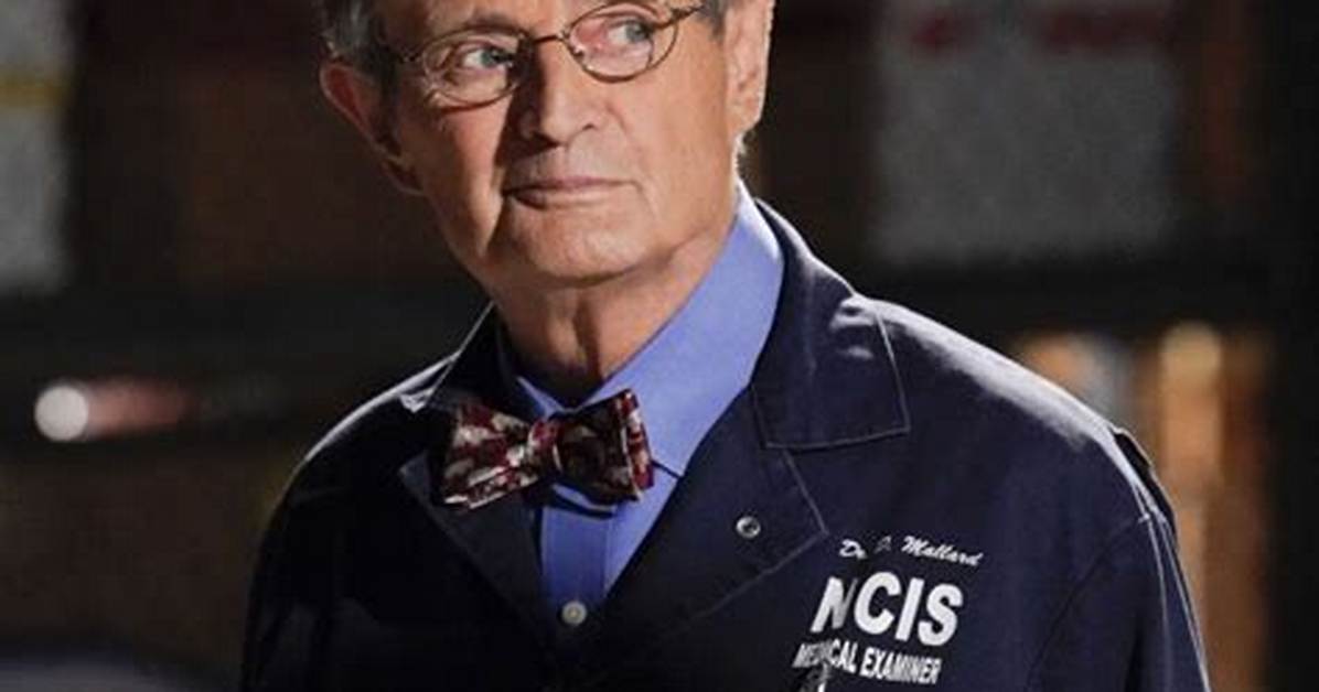 The Fate of Ducky from Ncis: Is He Still Alive?