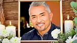 The Impact of the Dog Whisperer Tragedy: Lessons and Reflections