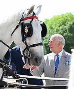 The Majestic Legacy of King Charles' Horse at Royal Ascot: an Unforgettable Journey