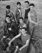 The Remarkable Journey of Matt Dillon in "The Outsiders"