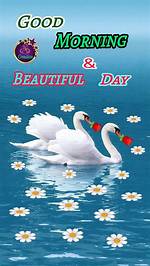 The Ultimate "It's a Beautiful Morning" Song: a Harmonic Melody for Your Soul