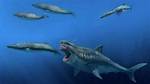 Todava Existen Megalodones En La Fosa De Las Marianas? Celebrity. Fm