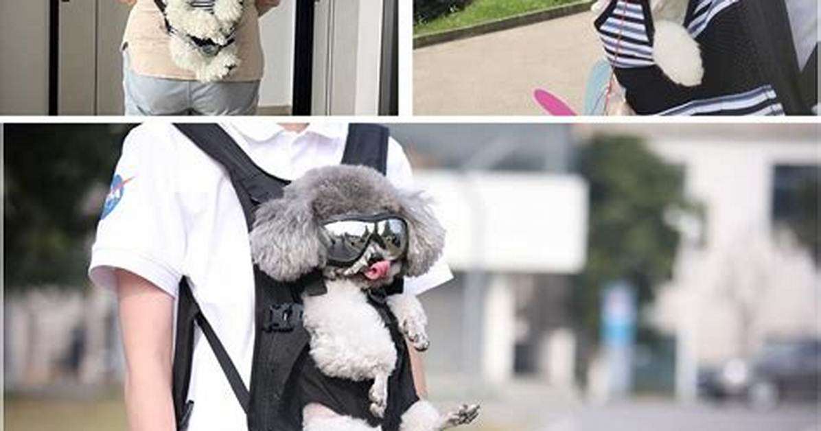 Ultimate Guide to Dog Carrier Backpacks: Comfort and Convenience for You and Your Pet