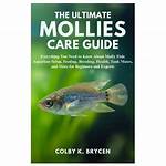 Ultimate Guide to Molly Nobiltt: Everything You Need to Know