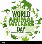 Uncover a World of Animal Welfare