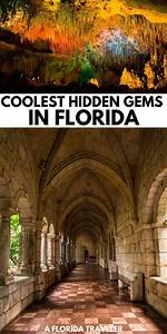 Uncover Hidden Gems and Cinematic Insights