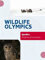 Uncover the Wonders: Our Exceptional Wildlife Cast