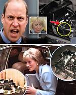 Uncovered Evidence: Leaked Tapes Expose Camilla's Secret Life