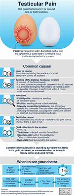 Understanding the Chill: Why Are My Testicles Cold?