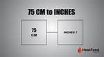Understanding the Conversion of 19.5Cm to Inches