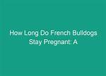 Understanding the Pregnancy Duration of French Bulldogs