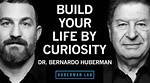 Unlocking Partnership Potential with the Huberman Blueprint