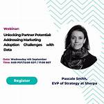 Unlocking the Potential of Mellstroy Partner: a New Era in Collaboration