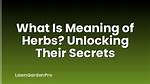 Unlocking the Secrets: Understanding Kracker Meaning
