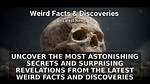 Unraveled Secrets and Surprising Facts