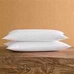Unraveling the Journey of Michael J. Lindell: the Pillow King