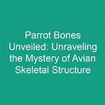 Unraveling the Life and Career of Bones Tj Thyne