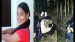 Unraveling the Mystery of Caso Emily Peguero
