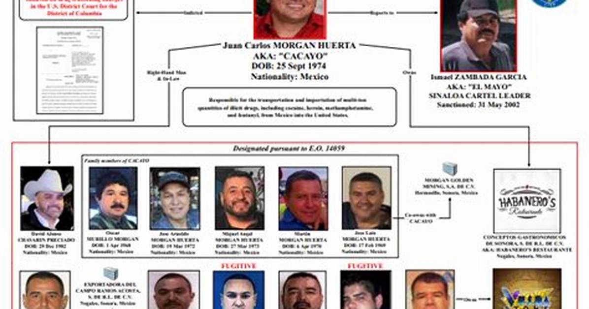 Unraveling the Wealth of the Sinaloa Cartel Kingpin
