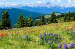 Unveil the Enchanting World of Beaver Creek Chophouse Through Captivating Photos