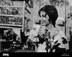 Unveiling the Life Story of Flor Silvestre