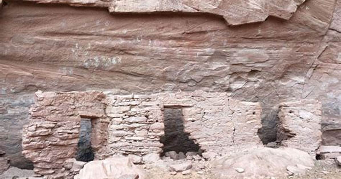 Unveiling the Mystery of the Biggest Hands Ever
