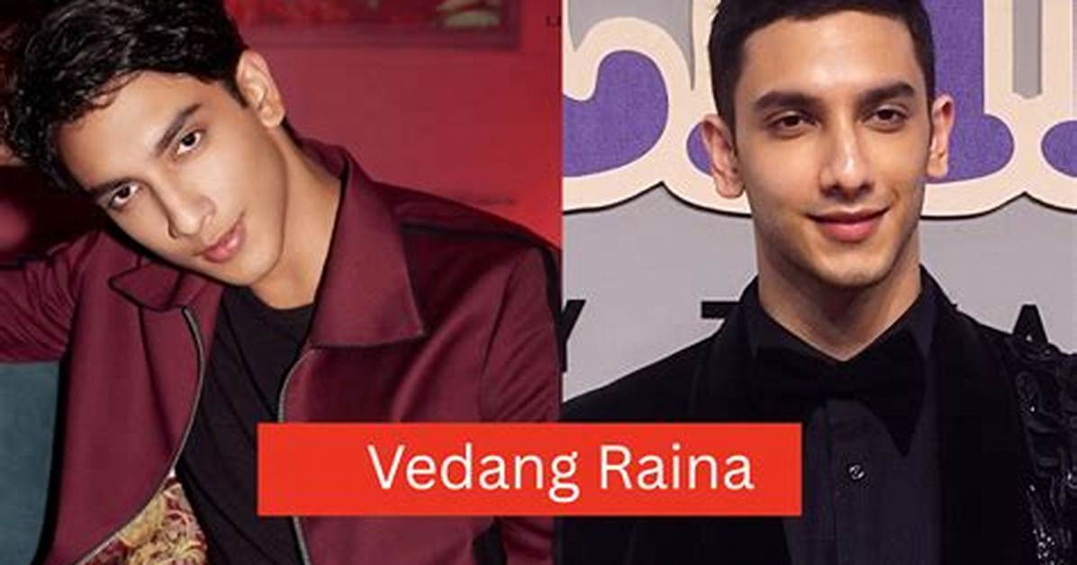 Unveiling the Mystery: Vedang Raina Age and More