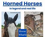 Unveiling the Myth: Do Horses Have Horns?