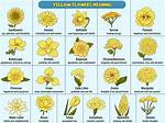 Unveiling the Symbolism of Yellow Flowers on September 21