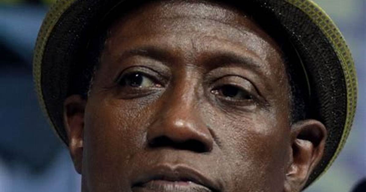 Wesley Snipes: the Versatile Star of Action and Drama