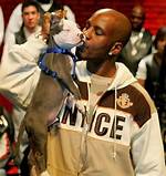 What Happened to Dmx Dog Boomer? the Life and Death of Boomer
