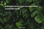 Whispers of Green: Inspiring Quotes on Plant Life