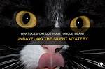 Why the Sassy Phrase "Cat Got Your Tongue?" Originated