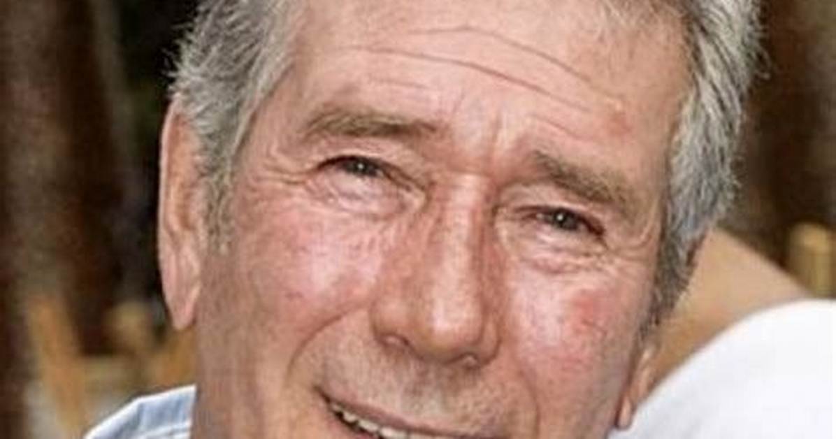 Zedblog | Robert Fuller - Bio, Age, Net Worth, Height, Wiki, Facts and Family